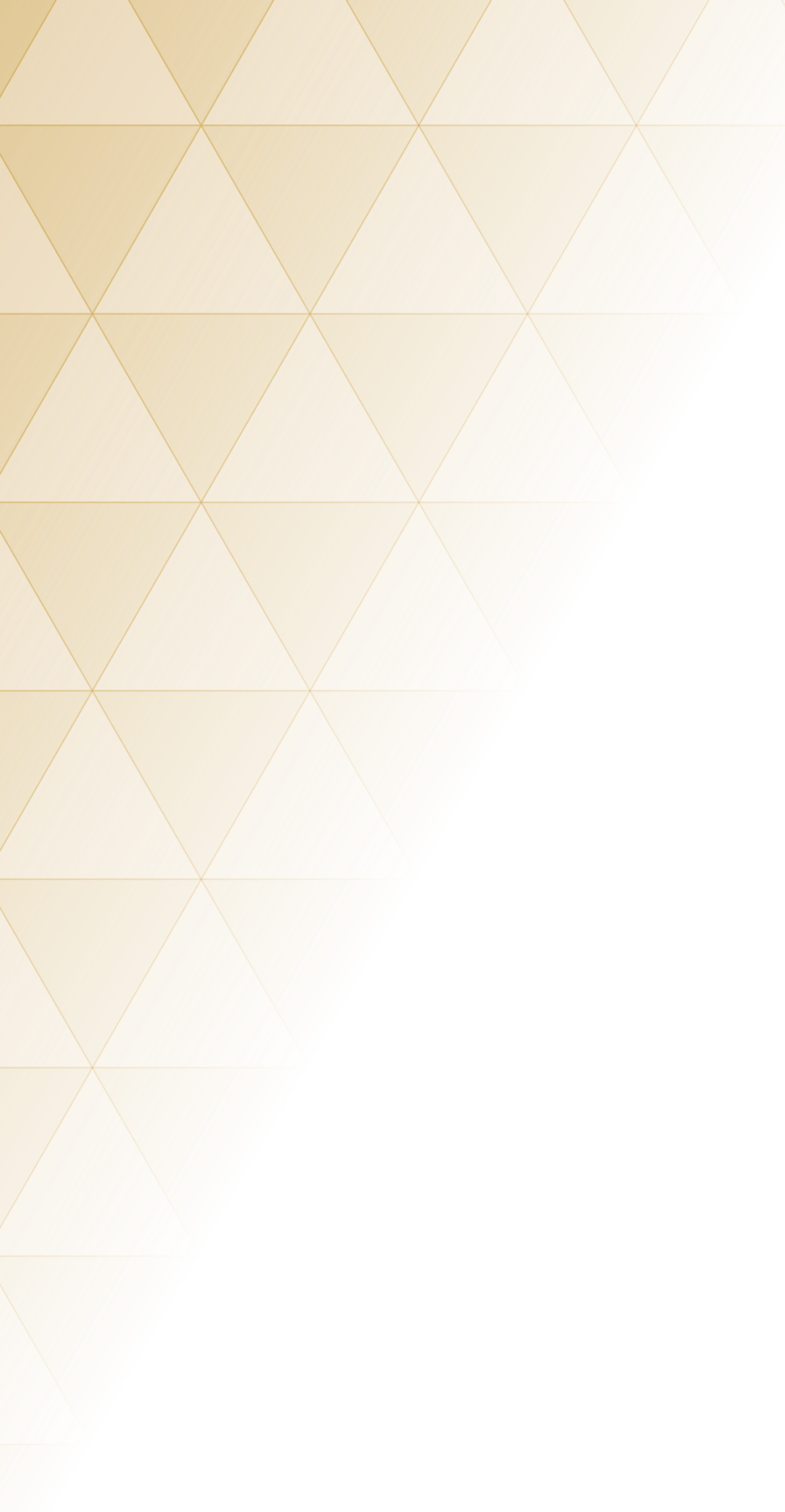 Pratham pattern top left scaled